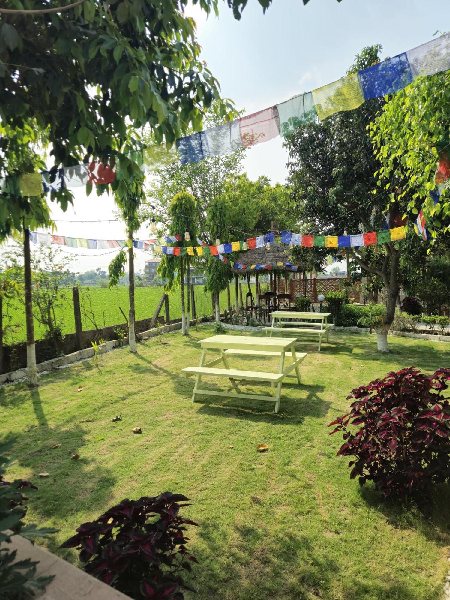 Hotel Tree Tops โซราฮา ภายนอก รูปภาพ